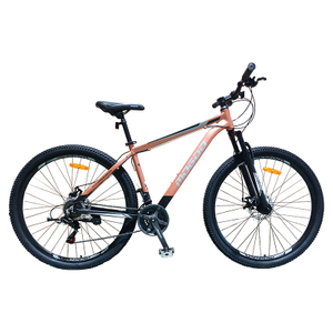 Adult Bicycle-MG-Boxter