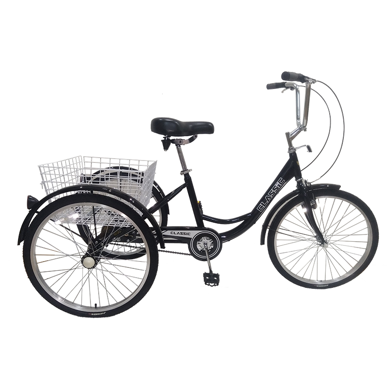 Tricycle-Adult-24-CL