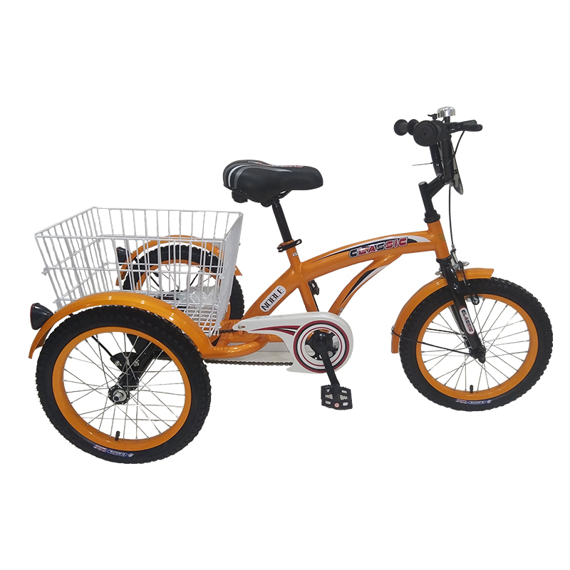 Tricycle-Adult-20-CL