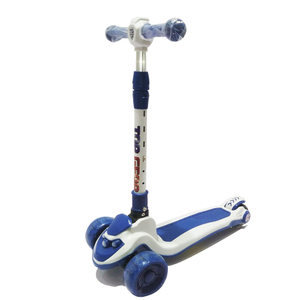 Kick Scooter--TG-301