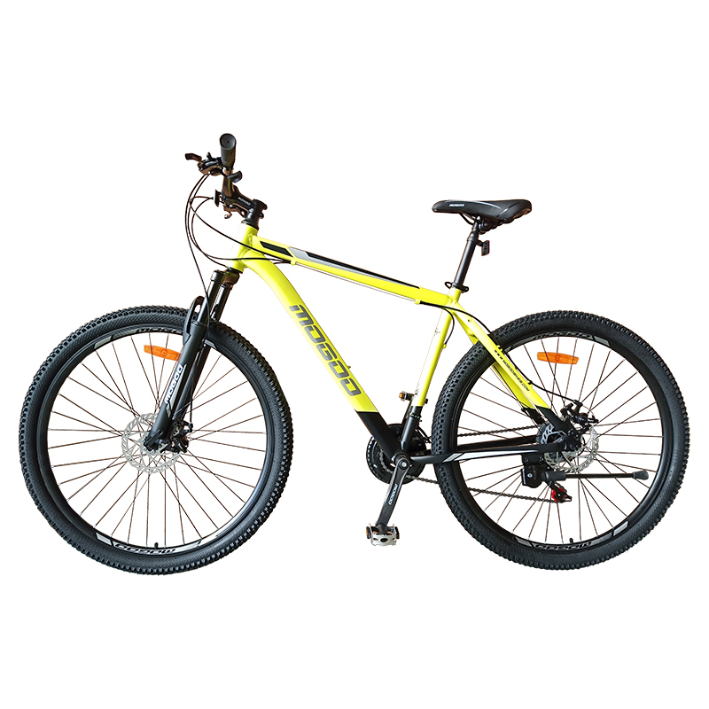 Adult Bicycle-MG-Boxter