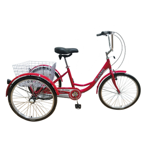 Tricycle-Adult-24-CL