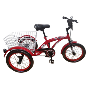 Tricycle-Adult-20-CL