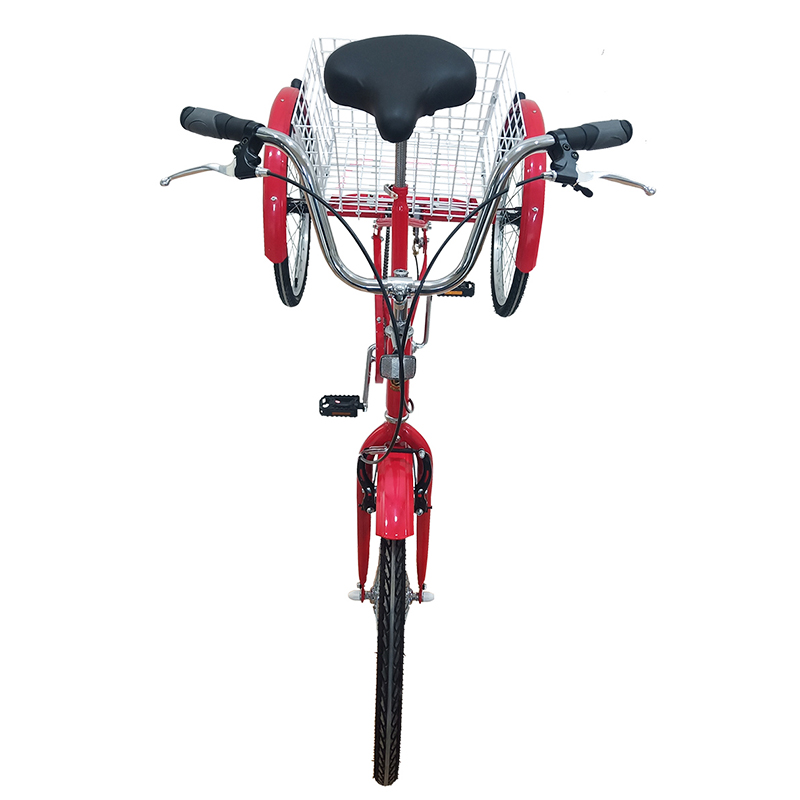 Tricycle-Adult-24-CL